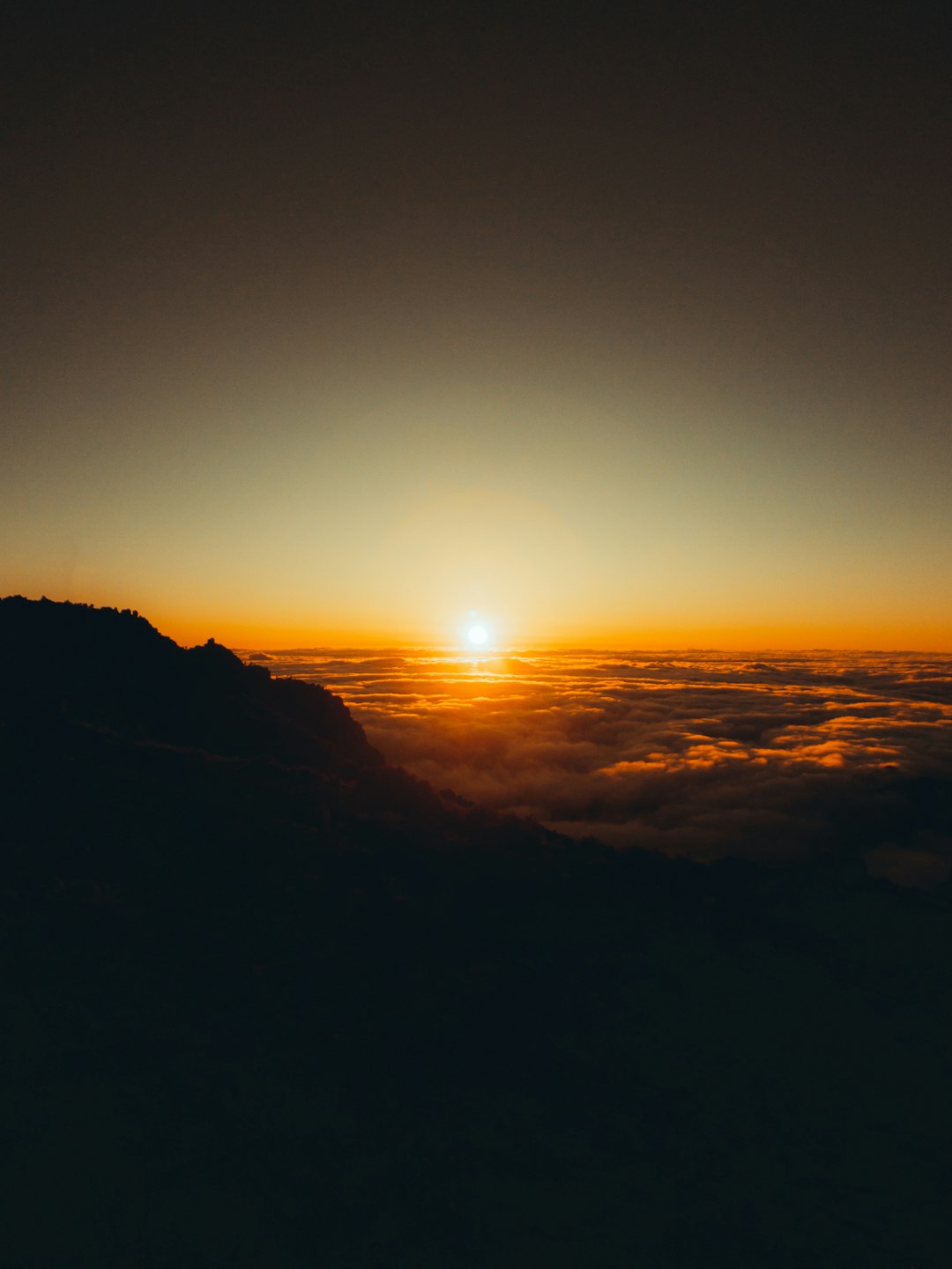 Какие актеры были в The Quarry?